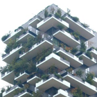 Biotop im Hochhaus: “Bosco verticale”